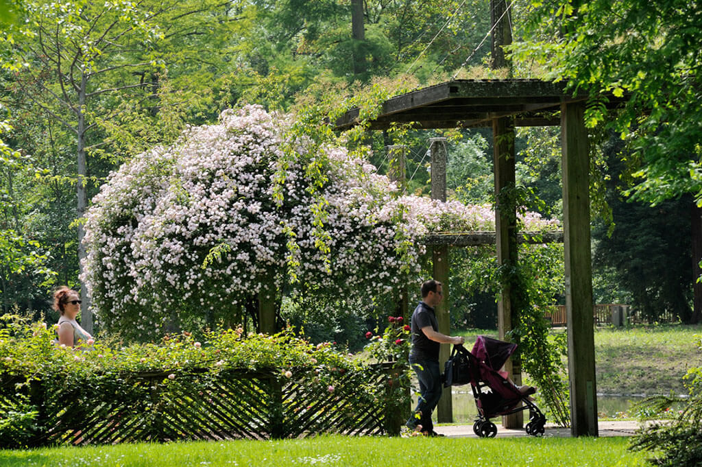 Ambiance du Parc Floral