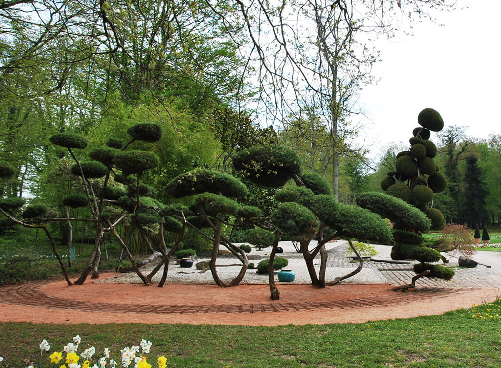 Présentation du Parc Floral Parc Floral de La Source
