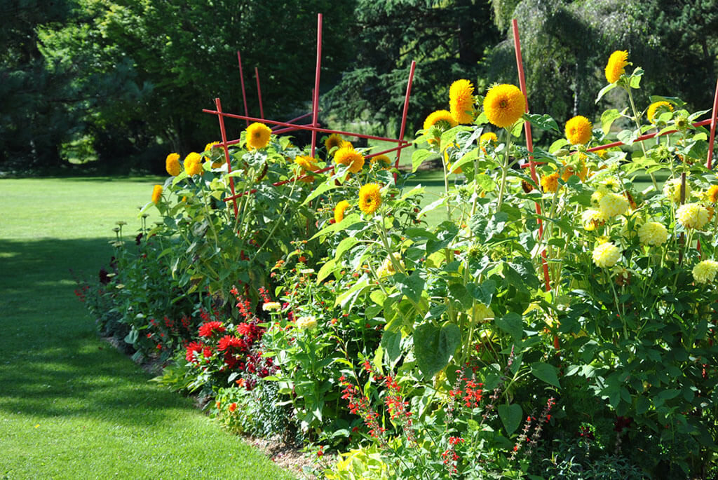 Massif de fleurs au Parc Floral