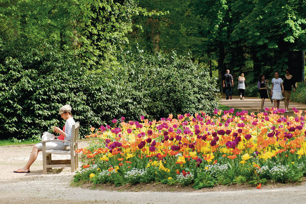 Tulipes du Parc Floral