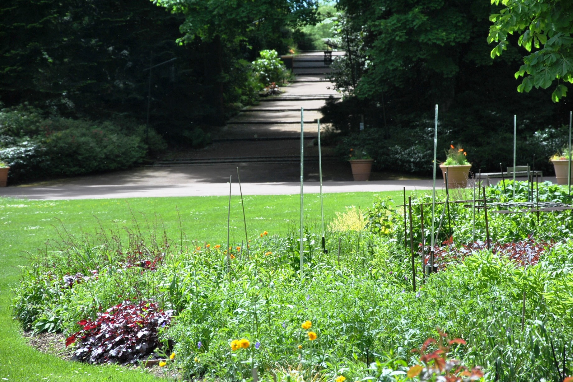 Présentation du Parc Floral  Parc Floral de La Source