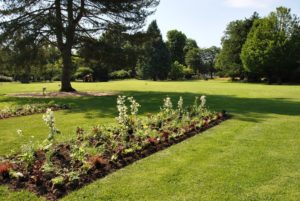 massifs d'expérimentation 2019