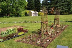 massifs d'expérimentation 2019