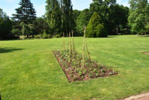 massifs d'expérimentation 2019