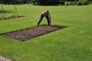 massifs d'expérimentation 2019