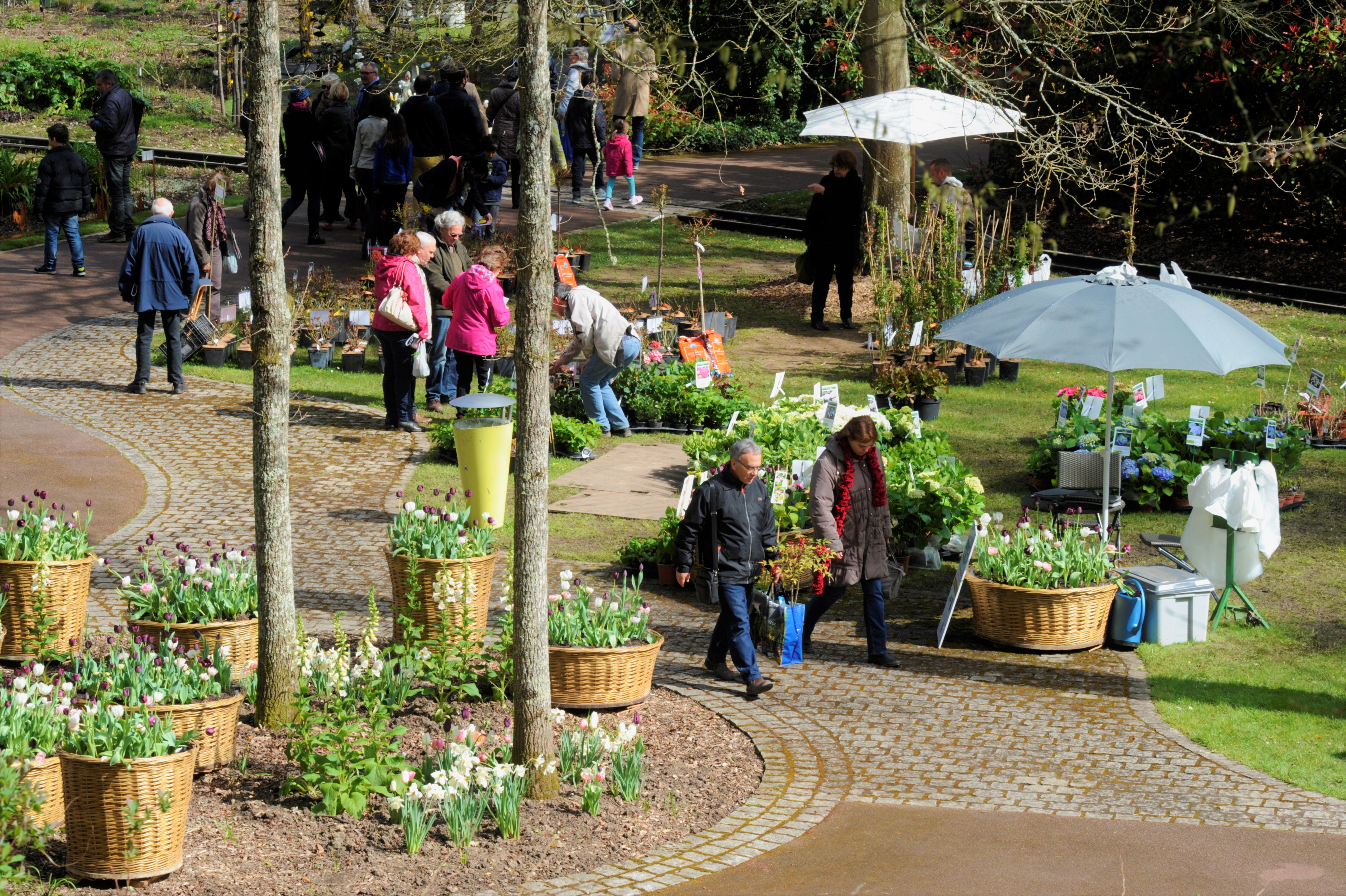 Salon des Arts du Jardin